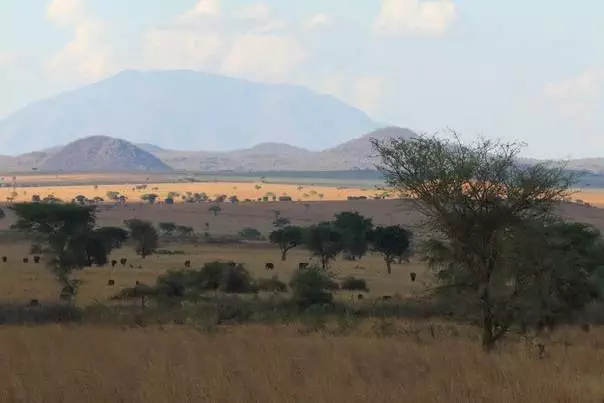 Narus Valley Safari Regions Uganda